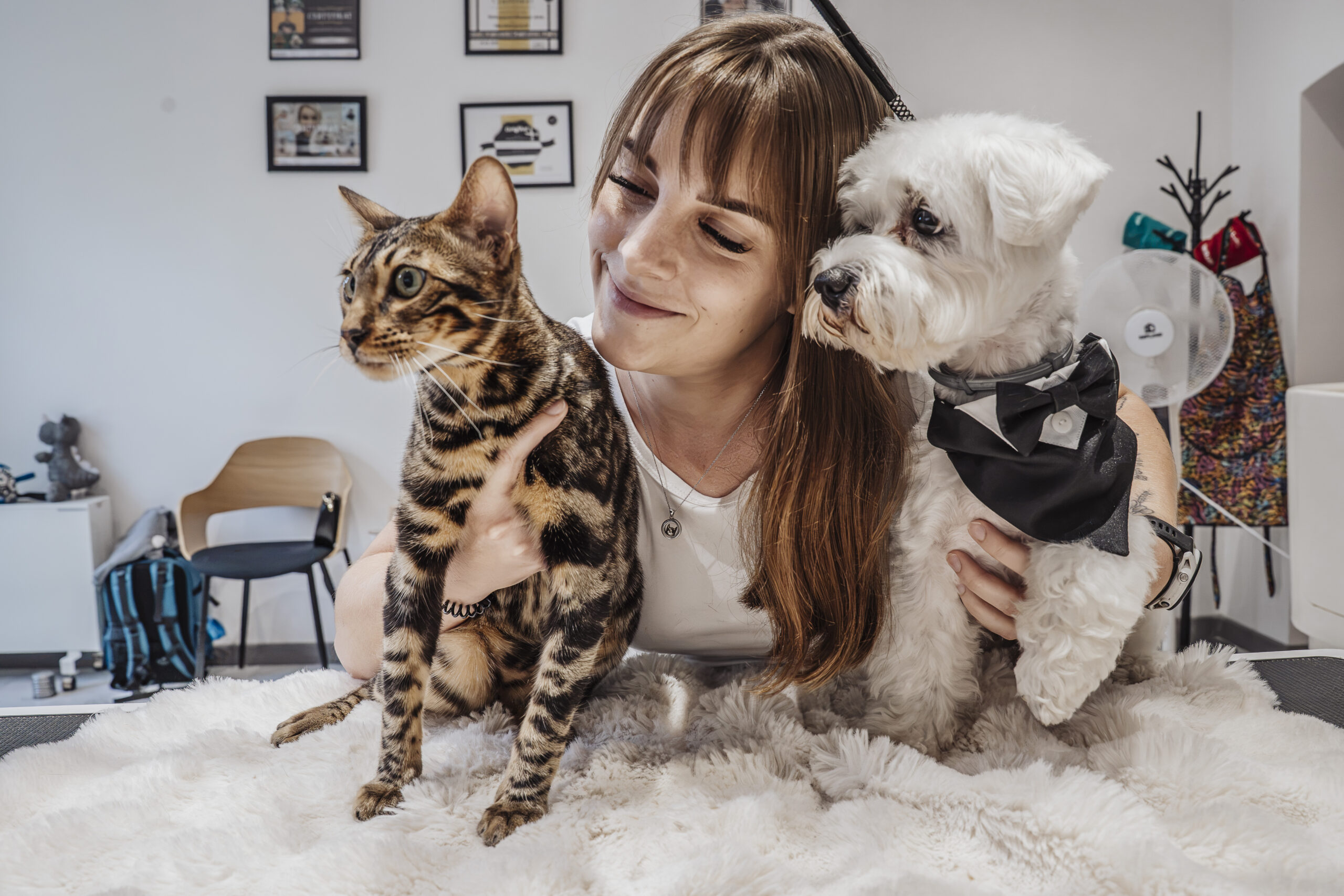 Psie Rewolucje, profesjonalny groomer Katowice